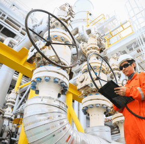 shutterstock_482501983